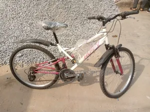 Teen Bicycle