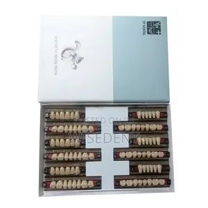 Dental Acrylic Teeth