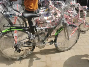 Adult Bicycle