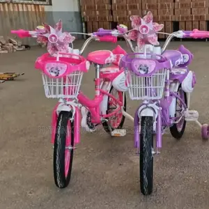 Female Design Children Bicycle