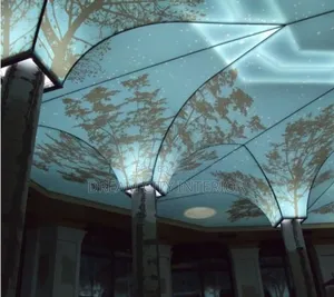 3d Stretch Ceiling