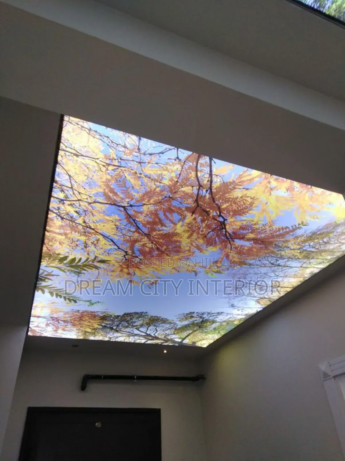 3d Stretch Ceiling