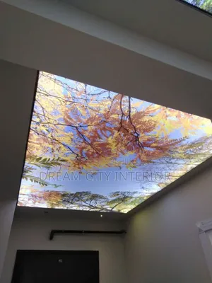 3d Stretch Ceiling