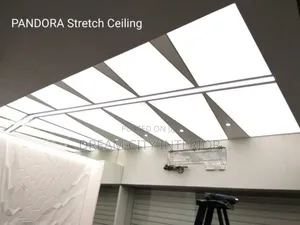 3d Stretch Ceiling Designs