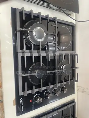 3 Gas and 1 Electric Burner