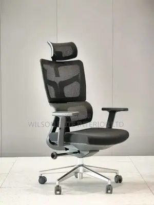 Economic Executive Office Mash Chair.