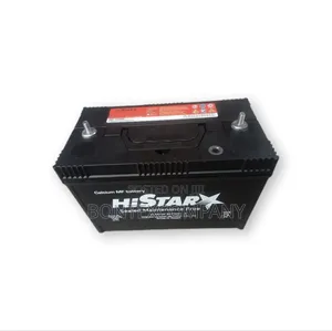 105ahs Histar Battery