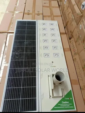 Foresolar All in One Solar Street Light