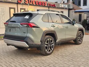Toyota RAV4 Adventure 2019 Pearl