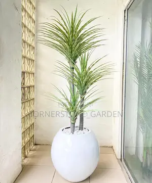 Fibre Glass Pot