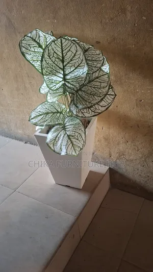 Flower Vase