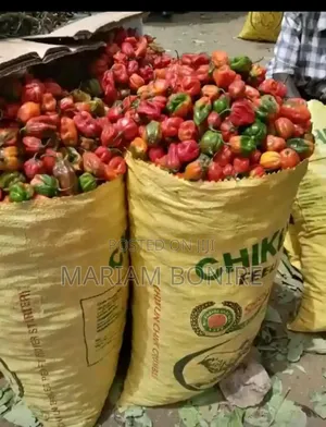 Fresh Pepper