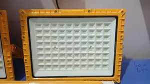 Thorn Explosion Proof 300watts