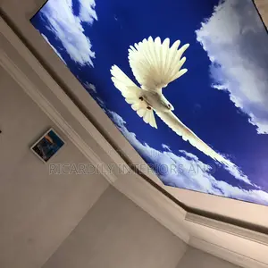 Stretch Ceiling Design