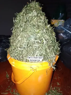 Dehydrating Services