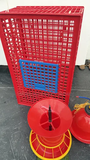 Indian Automatic Bell Drinker And Chicken Feeder For Broiler Layer