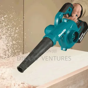 Vacuum Cleaner and Aspirator Air Blower 800w