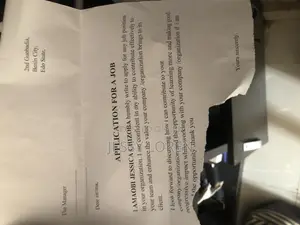 Customer Service CV