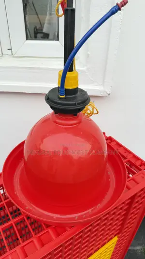 Original 100% Indian Bell Drinker And Feeders (Genuine)