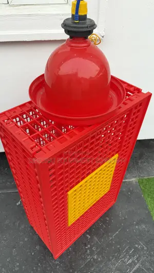 Original Indian Transport Crate And Infinity Bell Drinker