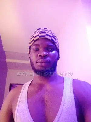 Personal Driver Available in Awka South