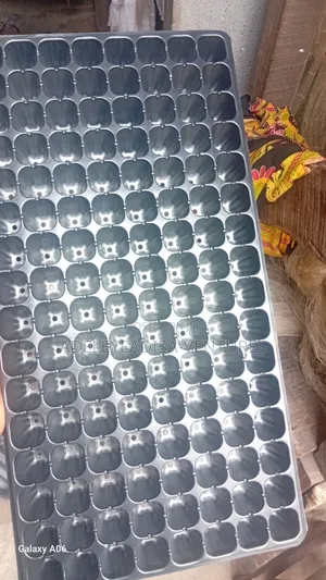 Seedlings Tray 128 and 200 Hole