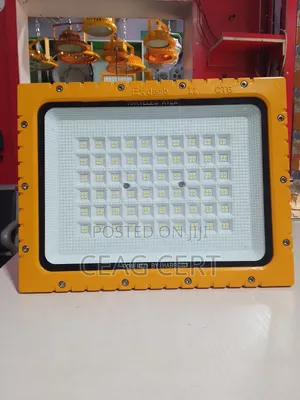 250w Ex Proof Flood Light
