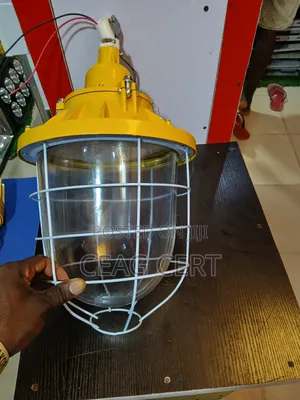 Explosion Proof Dropping Light
