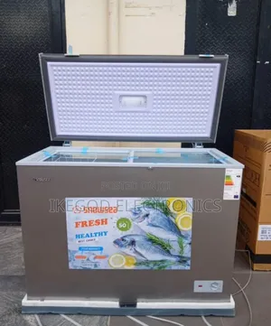 Snowsea Freezer Bd308g