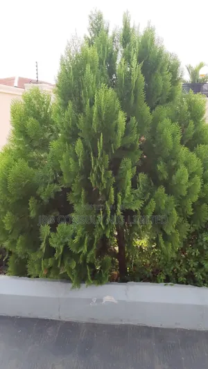 Horticultural Service