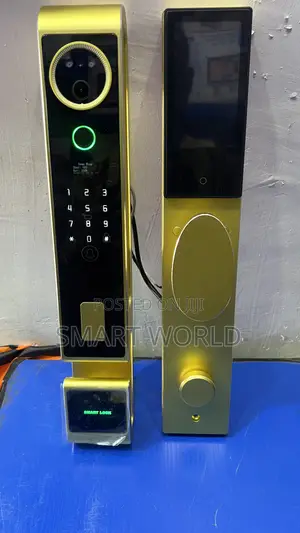 Luxury Face Recognition Smart Lock (Cb66)