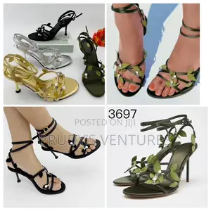 Zara High Female Quality Heel Shoe