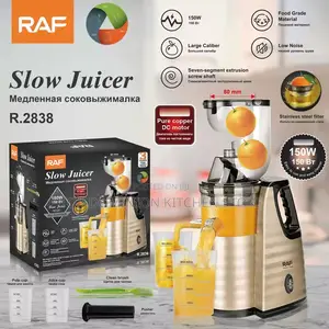 Raf Slow Juicer