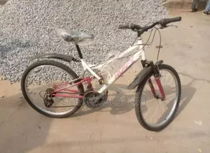 Teen Bicycle