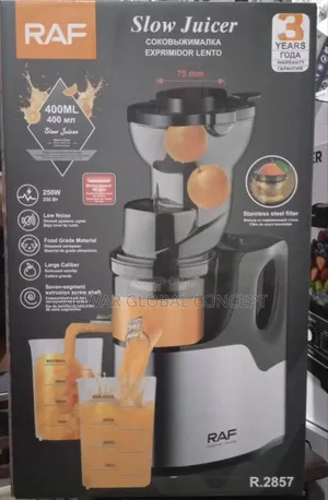 Raf 400ml Electric Slow Juicer Machine