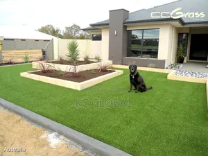 Artificial Grass 25mm