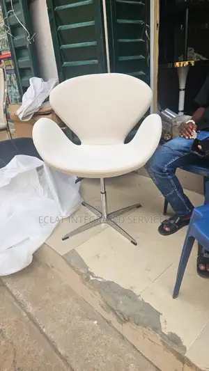 Single Chair/Salon Chair
