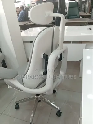 Super Ergonomic Office Chair
