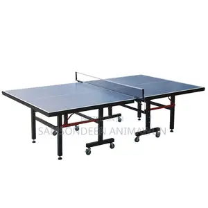 Table Tennis Table for Sale – Affordable Price
