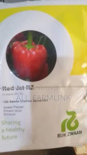 Red Jet Bell Pepper Seed (500 Seeds)