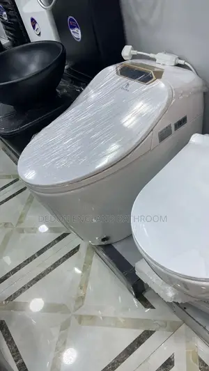 Sensor and Remote Smart Wc