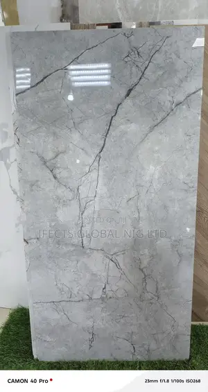 Indian Glozy Floor Tiles 60 X120