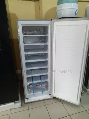 Polystar Upright Freezer