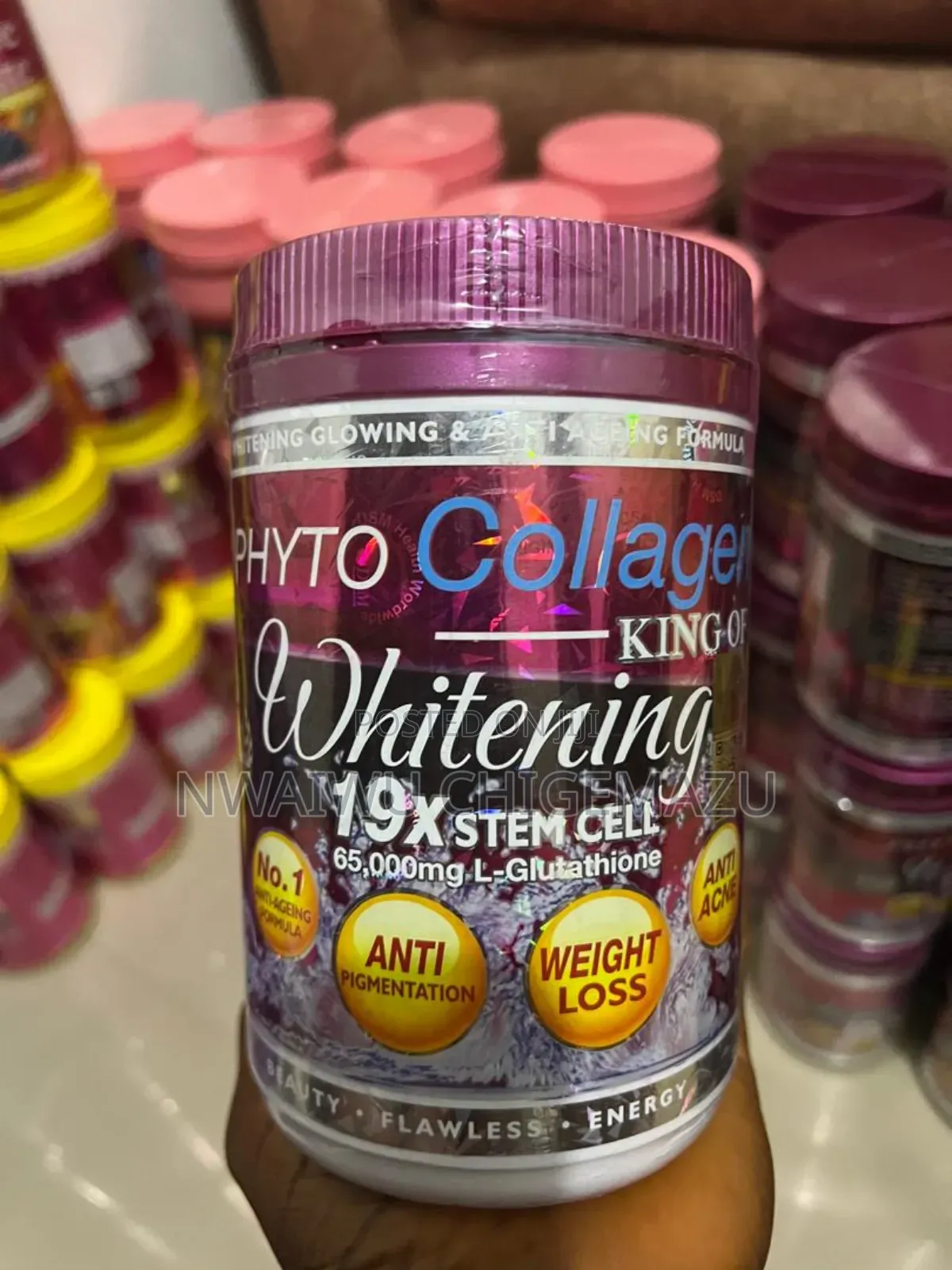 Phyto Collagen Powder