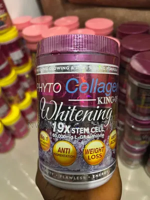 Phyto Collagen Powder