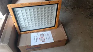 Ex Proof Flood Light