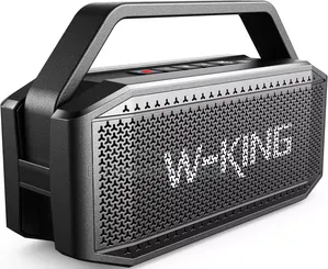 W-King D9-1