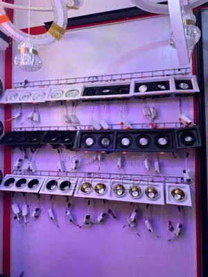 Led Double Spot Light Cast Body