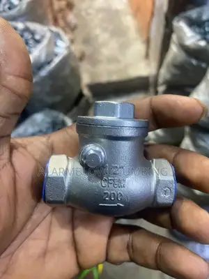 Stainless Steel 1/2 Non- Return Valve