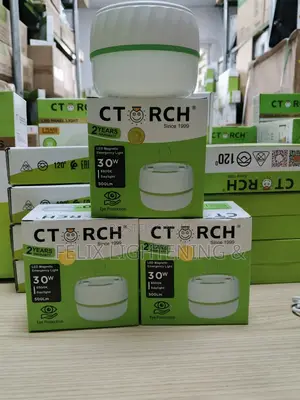 Rechargeable Bulb